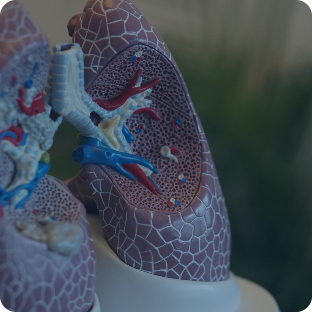 Advanced Airway Management 