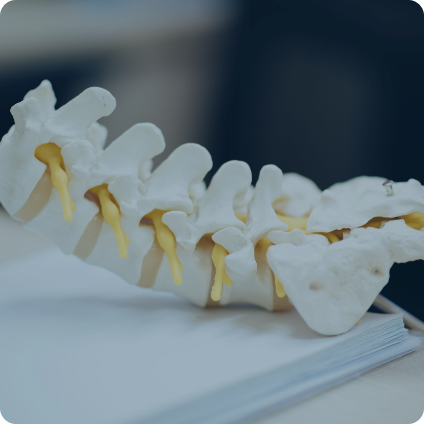 Thoracic Anesthesia